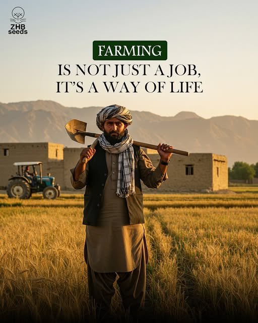 517151263_750895184549768_5088506053067937681_n