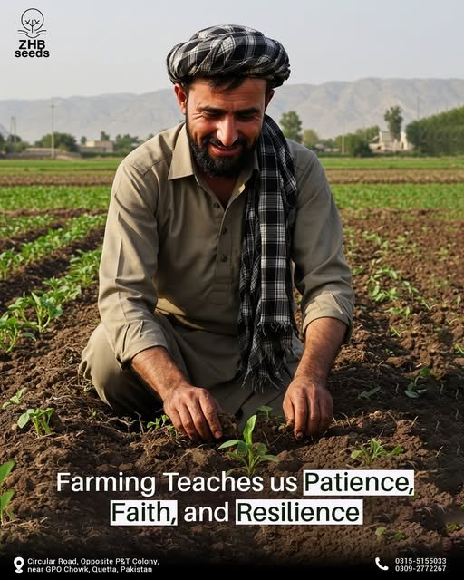 541814796_794664396839513_2868235560491009277_n