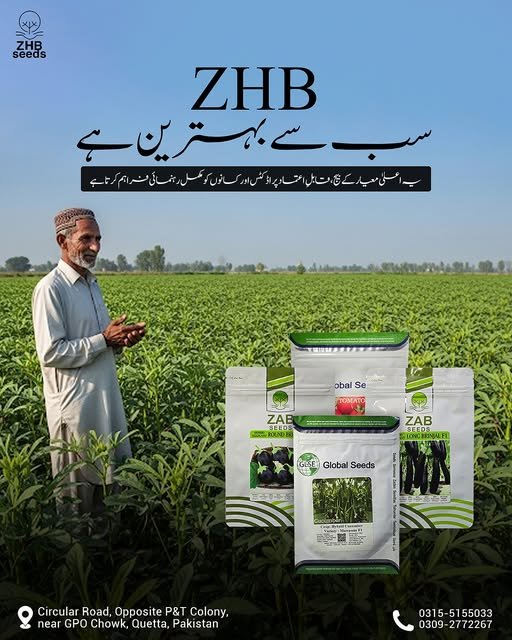 547881494_802752196030733_439633181657904041_n